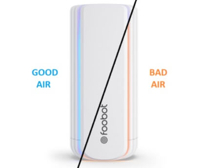 Foobot Review