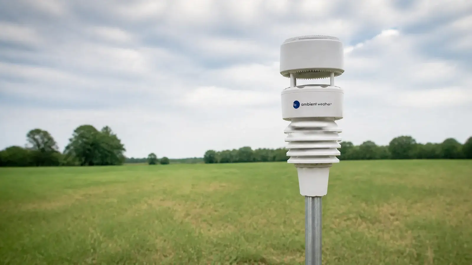 Ambient Weather WS-4000 ultrasonic and haptic-rain array mounted on a straight pole in an open grass field