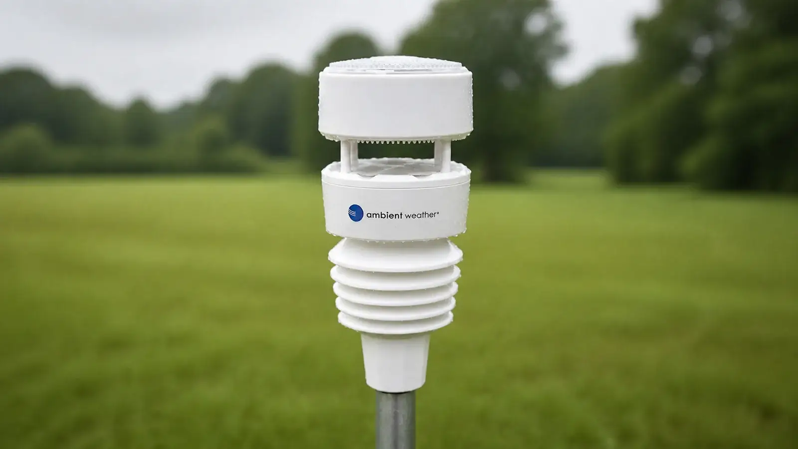Close view of the Ambient Weather WS-4000 ultrasonic and haptic-rain array after light rain in an open grass field