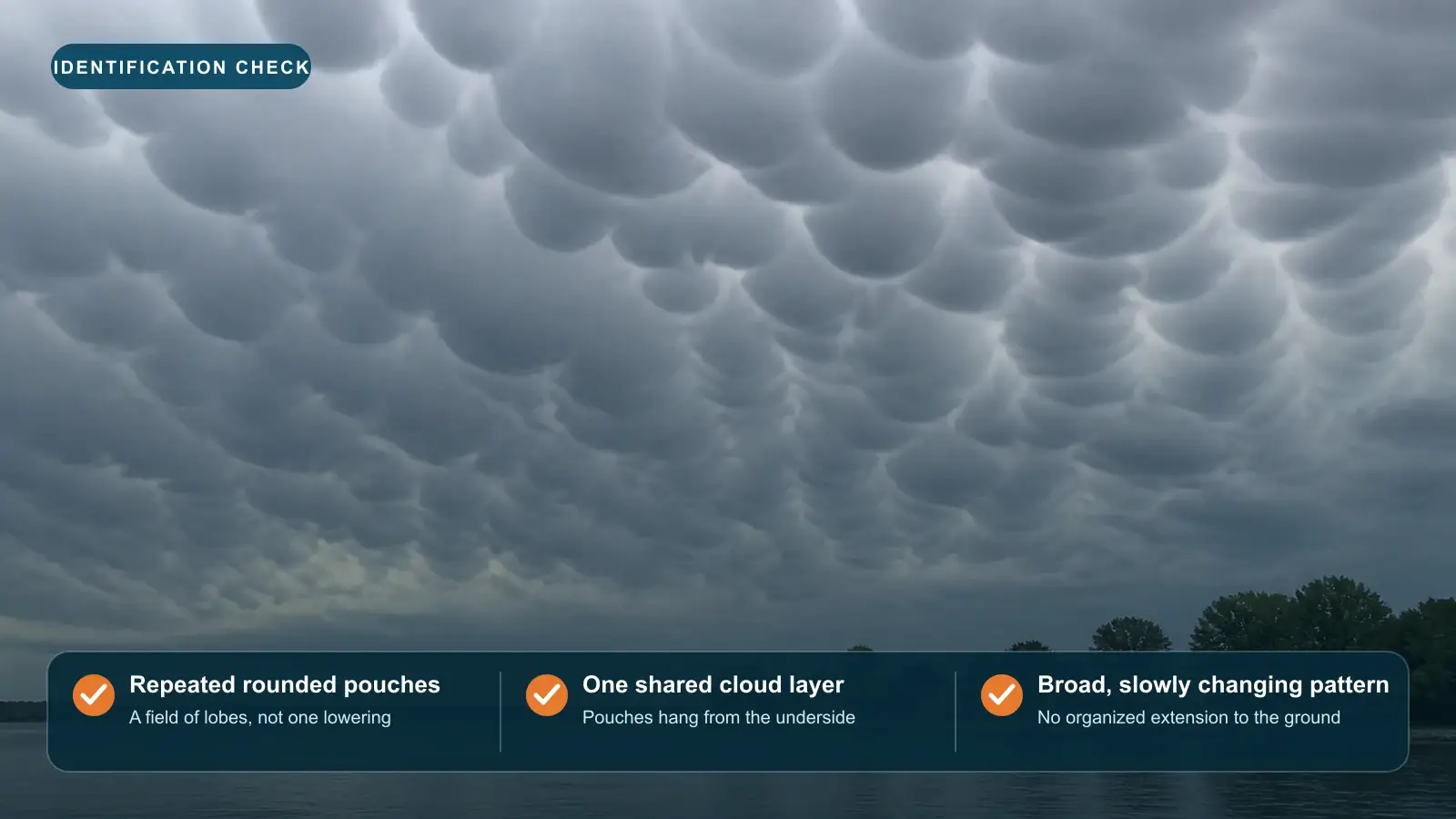 Annotated cool-daylight field photograph showing repeated rounded mammatus pouches attached to one broad cloud layer above a lake