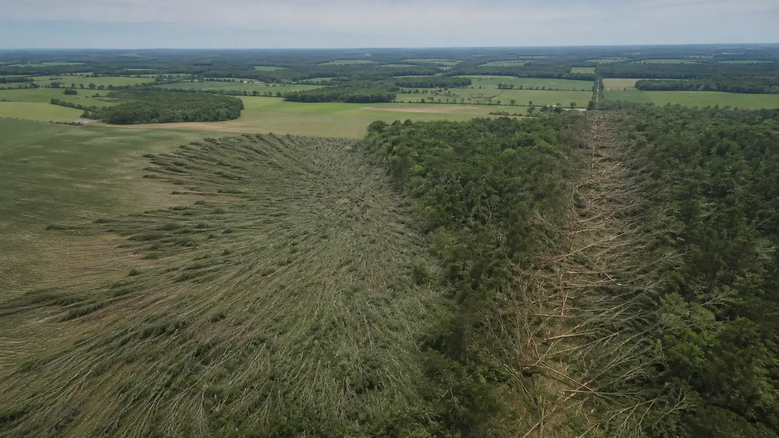 Conceptual aerial comparison of fan-shaped and narrow wind-damage patterns in rural vegetation
